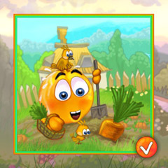 Cover_Orange-Area_5