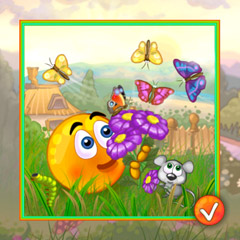 Cover_Orange-Area_9