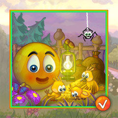 Cover_Orange-Area_11
