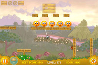 Cover_Orange-Area_9-Level_171